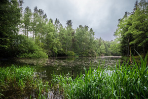 VR电竞初露锋芒:沉浸式体验,能否成为未来游戏的新蓝海